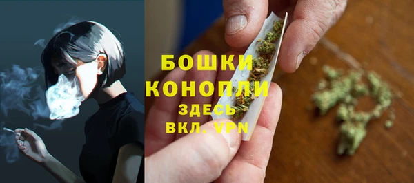 mdpv Белокуриха