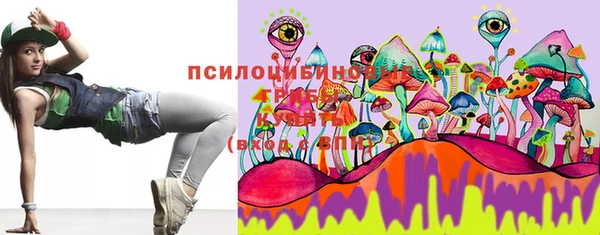 ECSTASY Струнино