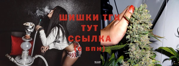 mdpv Белокуриха
